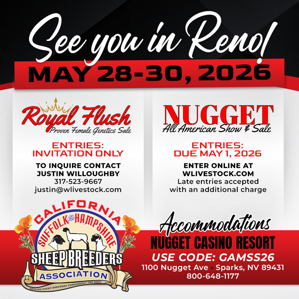 See you in Reno See you in Reno